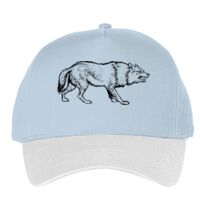 Classic 5-panel snapback (6007) Vignette