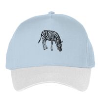 Classic 5-panel snapback (6007) Vignette