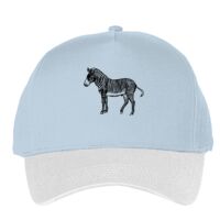 Classic 5-panel snapback (6007) Vignette