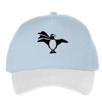 Classic 5-panel snapback (6007) Vignette