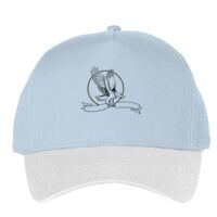 Classic 5-panel snapback (6007) Vignette