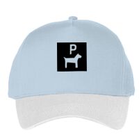 Classic 5-panel snapback (6007) Vignette