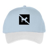 Classic 5-panel snapback (6007) Vignette