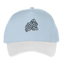 Classic 5-panel snapback (6007) Vignette