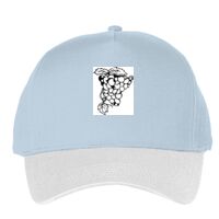 Classic 5-panel snapback (6007) Vignette