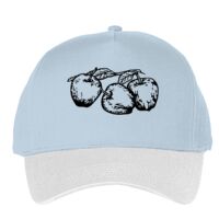Classic 5-panel snapback (6007) Vignette