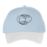 Classic 5-panel snapback (6007) Vignette