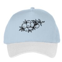 Classic 5-panel snapback (6007) Vignette