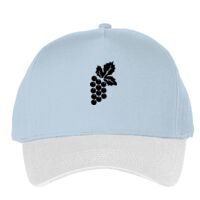 Classic 5-panel snapback (6007) Vignette