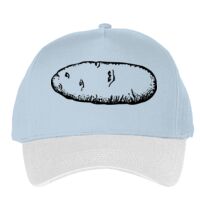 Classic 5-panel snapback (6007) Vignette