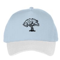 Classic 5-panel snapback (6007) Vignette