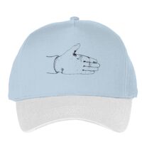 Classic 5-panel snapback (6007) Vignette