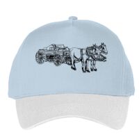 Classic 5-panel snapback (6007) Vignette