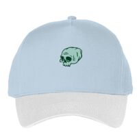 Classic 5-panel snapback (6007) Vignette