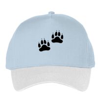 Classic 5-panel snapback (6007) Vignette