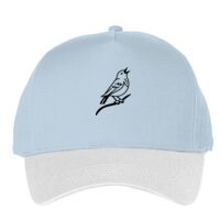 Classic 5-panel snapback (6007) Vignette