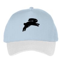 Classic 5-panel snapback (6007) Vignette