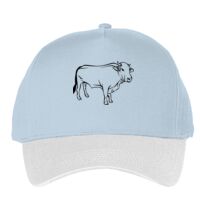 Classic 5-panel snapback (6007) Vignette