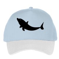 Classic 5-panel snapback (6007) Vignette