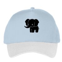Classic 5-panel snapback (6007) Vignette