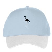 Classic 5-panel snapback (6007) Vignette