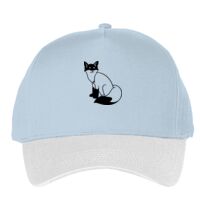 Classic 5-panel snapback (6007) Vignette