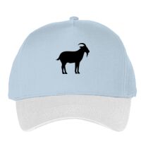 Classic 5-panel snapback (6007) Vignette