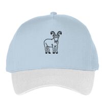 Classic 5-panel snapback (6007) Vignette