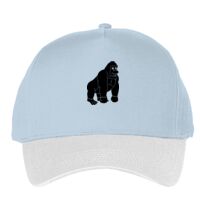 Classic 5-panel snapback (6007) Vignette