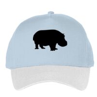 Classic 5-panel snapback (6007) Vignette