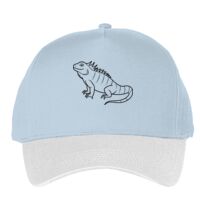 Classic 5-panel snapback (6007) Vignette