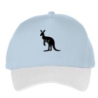 Classic 5-panel snapback (6007) Vignette