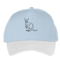 Classic 5-panel snapback (6007) Vignette