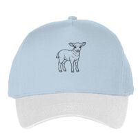 Classic 5-panel snapback (6007) Vignette