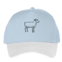 Classic 5-panel snapback (6007) Vignette