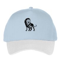 Classic 5-panel snapback (6007) Vignette