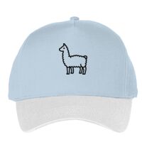 Classic 5-panel snapback (6007) Vignette