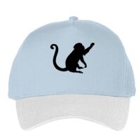 Classic 5-panel snapback (6007) Vignette