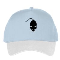 Classic 5-panel snapback (6007) Vignette