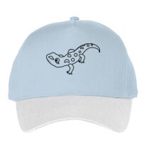 Classic 5-panel snapback (6007) Vignette