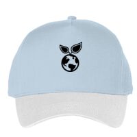 Classic 5-panel snapback (6007) Vignette