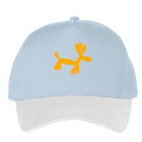Classic 5-panel snapback (6007) Vignette