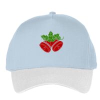Classic 5-panel snapback (6007) Vignette
