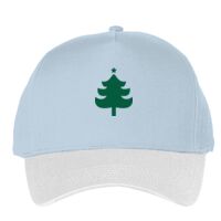 Classic 5-panel snapback (6007) Vignette