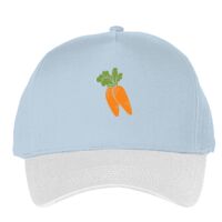 Classic 5-panel snapback (6007) Vignette