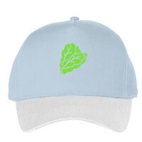 Classic 5-panel snapback (6007) Vignette
