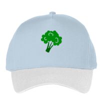 Classic 5-panel snapback (6007) Vignette