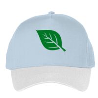 Classic 5-panel snapback (6007) Vignette