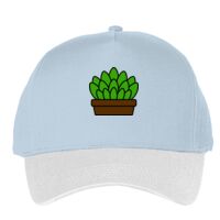 Classic 5-panel snapback (6007) Vignette