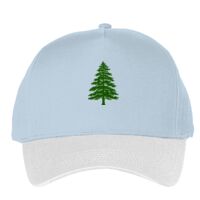 Classic 5-panel snapback (6007) Vignette